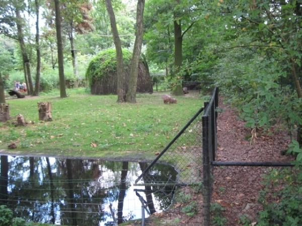 Mechelen-Muizen-Plankendael 152