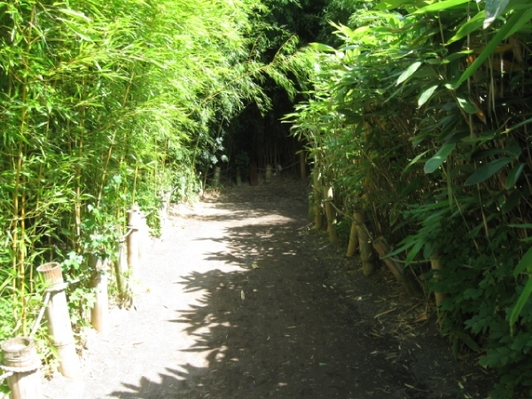 Mechelen-Muizen-Plankendael 259