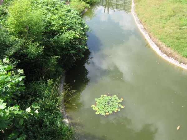 Mechelen-Muizen-Plankendael 270