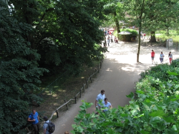 Mechelen-Muizen-Plankendael 271