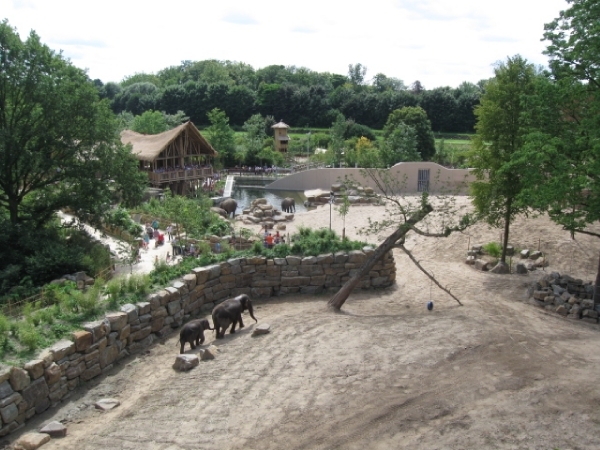 Mechelen-Muizen-Plankendael 290