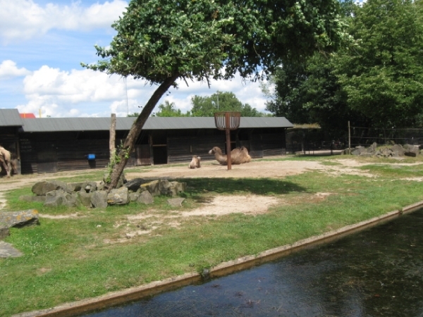 Mechelen-Muizen-Plankendael 307