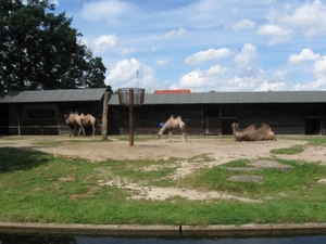 Mechelen-Muizen-Plankendael 308