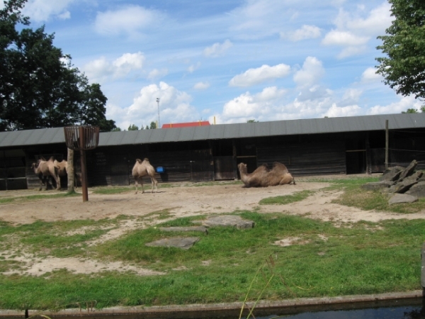 Mechelen-Muizen-Plankendael 309