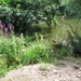 Mechelen-Muizen-Plankendael 318