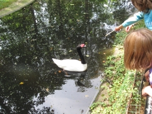 Mechelen-Muizen-Plankendael 348