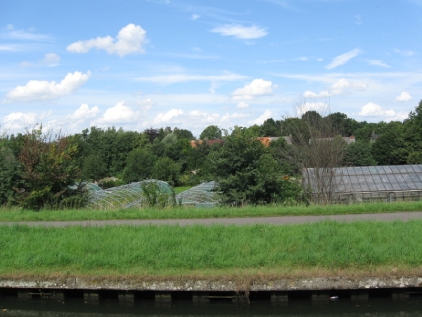 Mechelen-Muizen-Plankendael 354