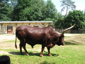 Ariadne bezoekt plankendael 012