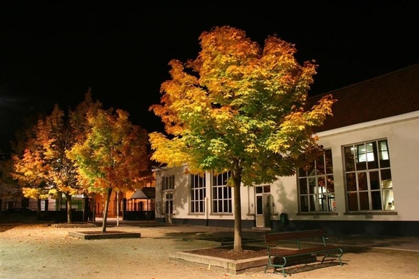 België Deinze 02 (Large) (Medium)