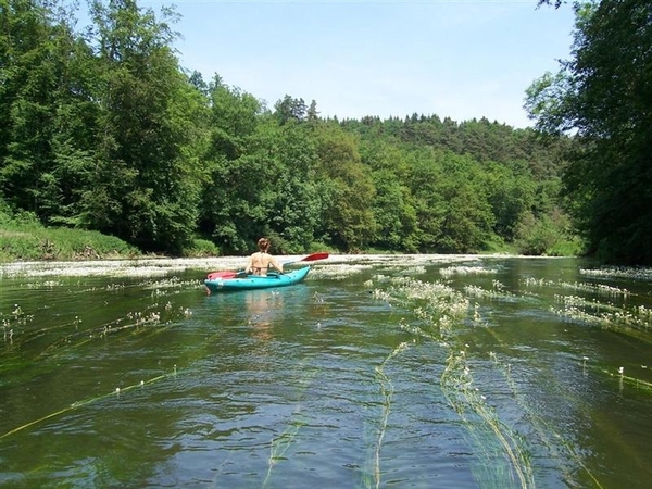 België Florenville 01 (Large) (Medium)