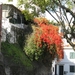 Madeira 034