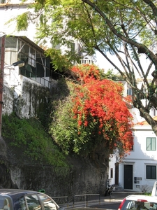 Madeira 034