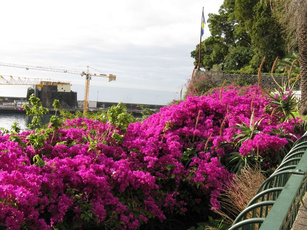 Madeira 055