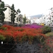Madeira 065