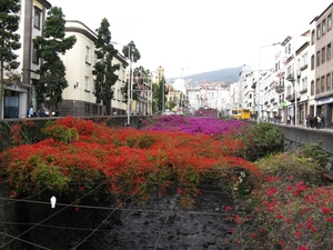 Madeira 065