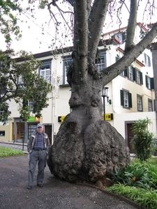 Madeira 083