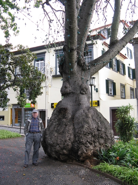 Madeira 083