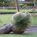 Madeira 089