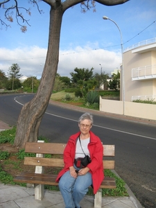 Madeira 145
