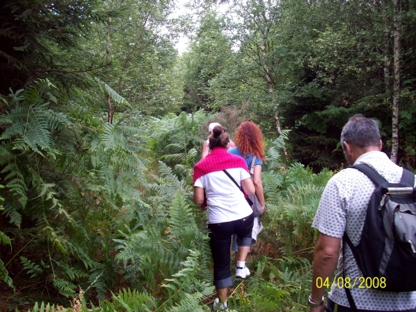 Wandeling Beth 2008 005