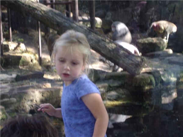 grace in de zoo