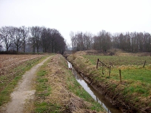 Van vijver naar dorp