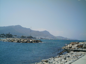 IMAG0010