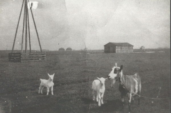 1954  Nu Stadsweide-Weidestraat