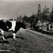 1960