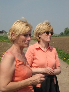 Afbeelding 012