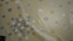 DSCN0277_234