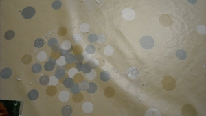 DSCN0278_235
