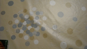 DSCN0279_236