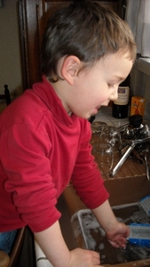 DSCN0281_238