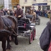 2008-11-02 Vresse Kembakor (10)