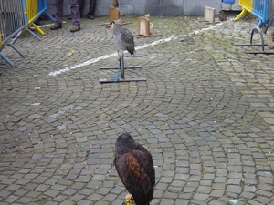 2008-11-02 Vresse Kembakor (3)