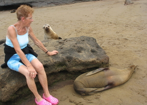 zeeleeuwen Galapagos eilanden