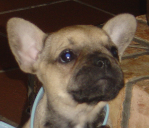 DSC04040