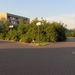 IM000161