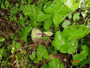 DSC00024