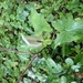 DSC00025