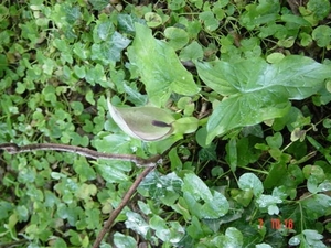 DSC00025
