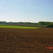 DSC00031