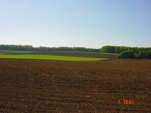 DSC00031