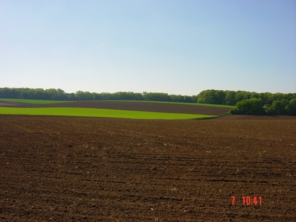 DSC00031