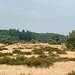 2005_juli_18_hei_hogeveluwe_015