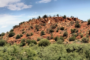 Arizona