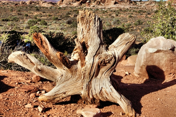 Amerika, Landschappen, natuur