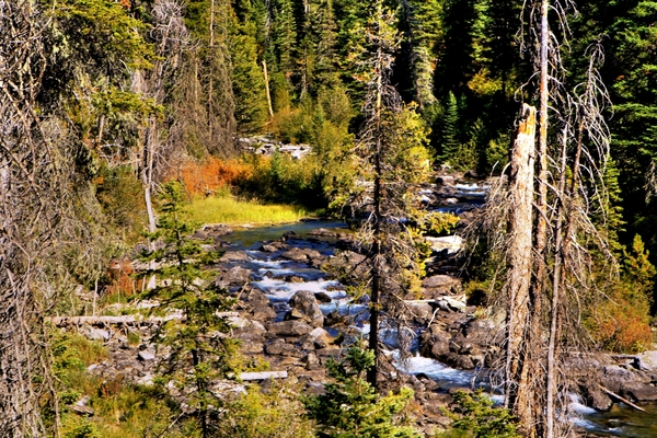 Amerika, Landschappen, natuur