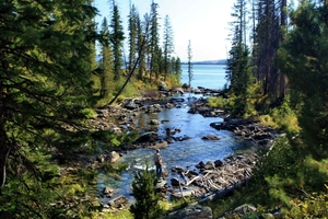 Grand Teton